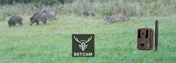 BSTCAM