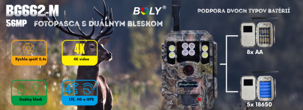 Boly Media